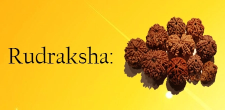 rudraksha