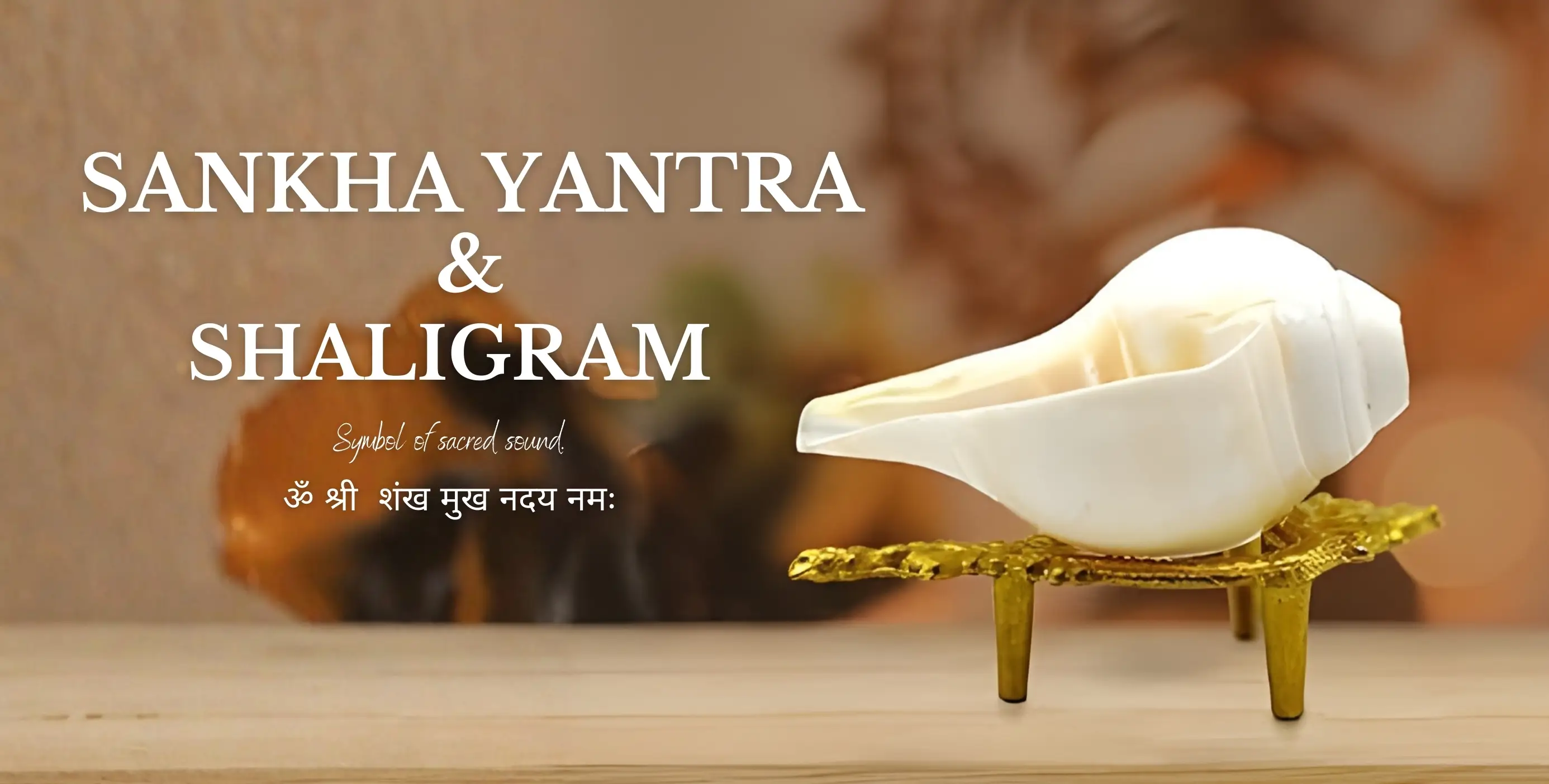 Sankha Yantra & Shaligram