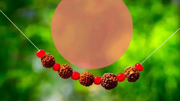 Does Rudraksha Have Side Effects - The Continuation
