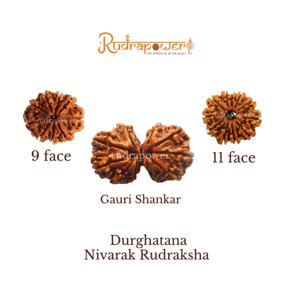 Durghalana Nivarak Rudraksha